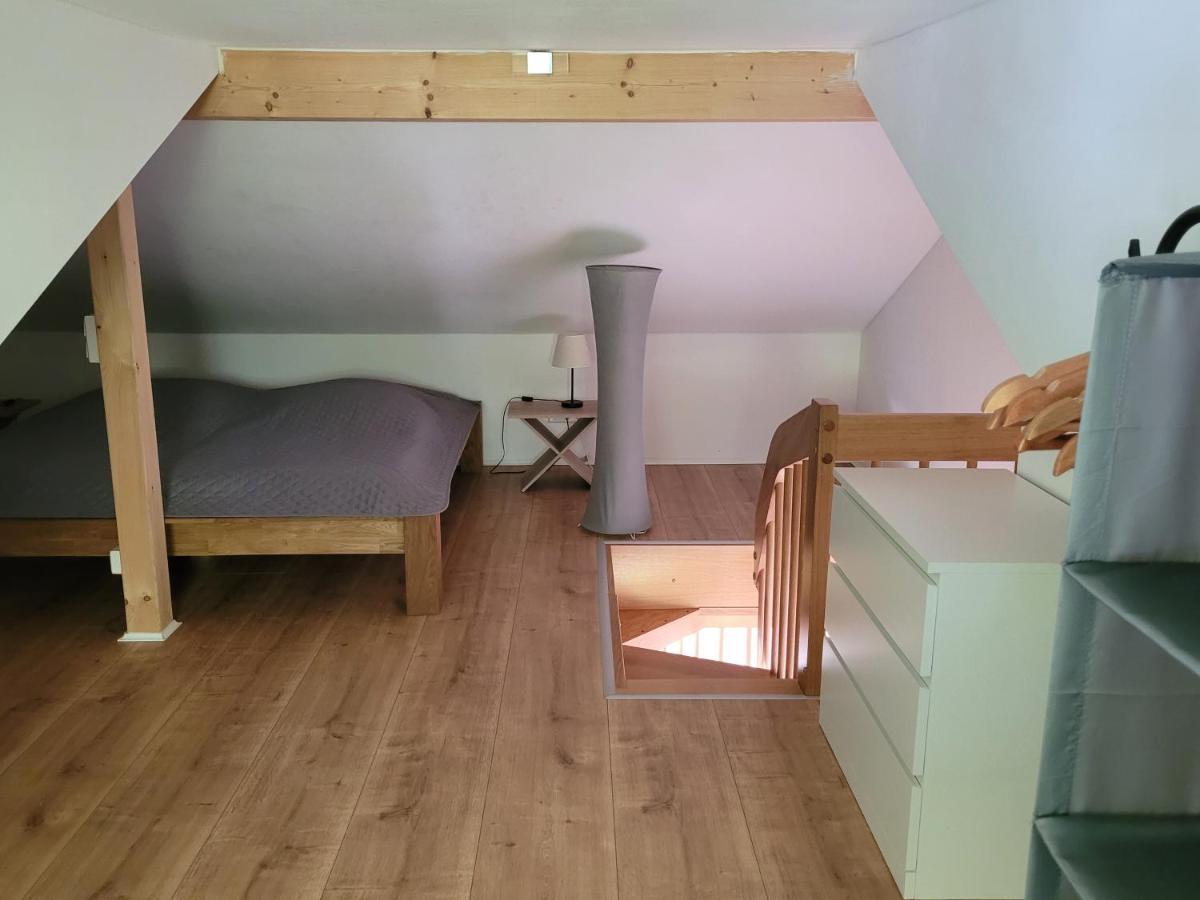 Im Stadtzentrum Apartment